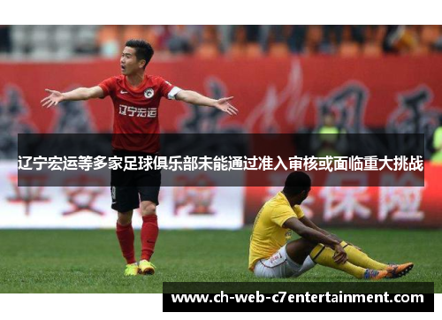 辽宁宏运等多家足球俱乐部未能通过准入审核或面临重大挑战
