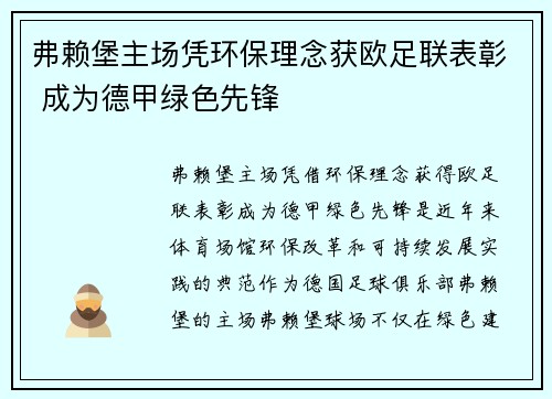 弗赖堡主场凭环保理念获欧足联表彰 成为德甲绿色先锋